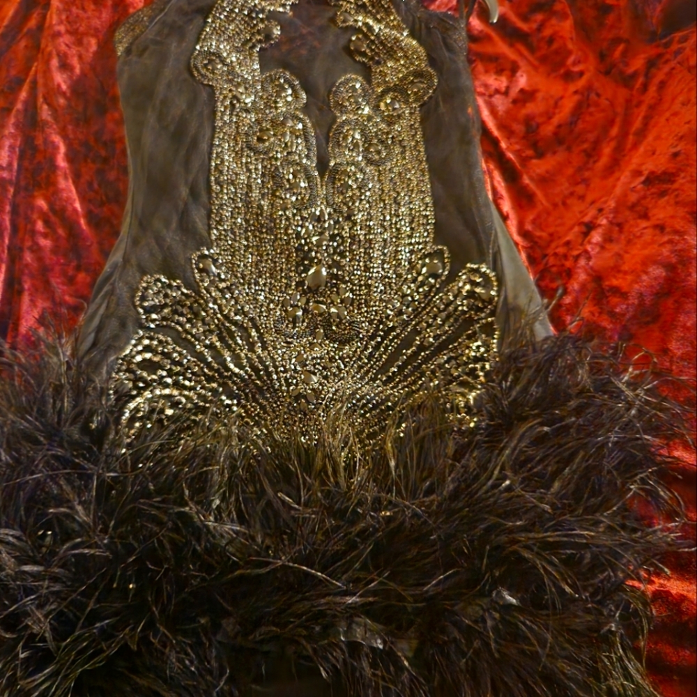A cocktail feather dress